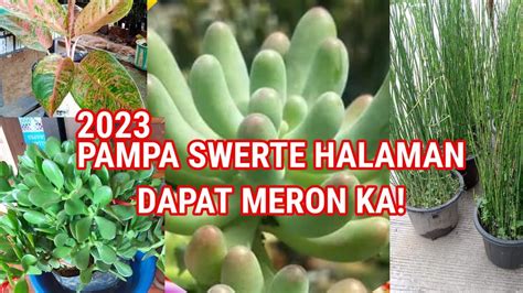 baka meron in english|Meron in English .